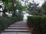 山上的小路