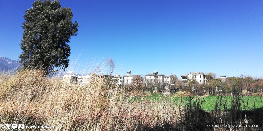 乡村田园风景