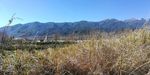 大山荒草风景
