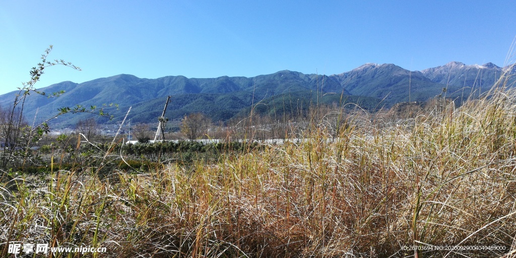 大山荒草风景