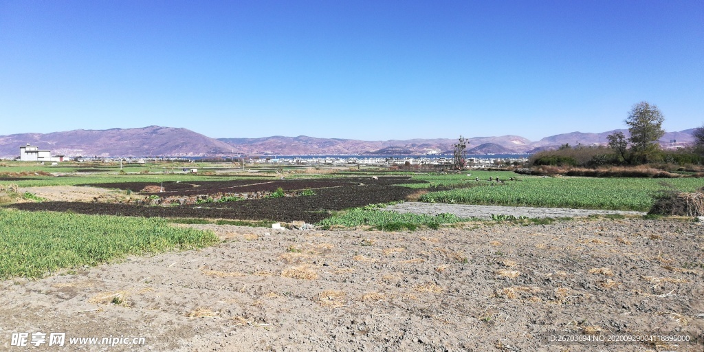 田园风景