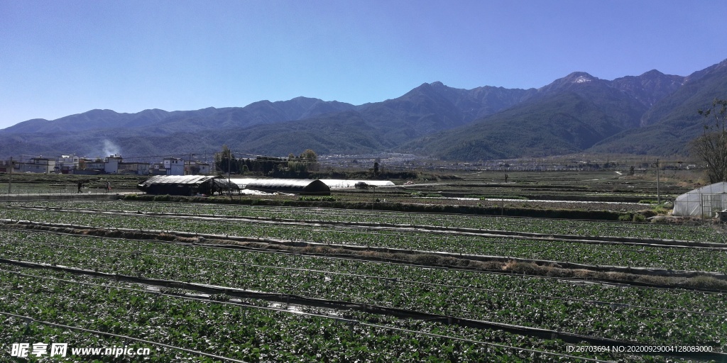 乡村田野风景