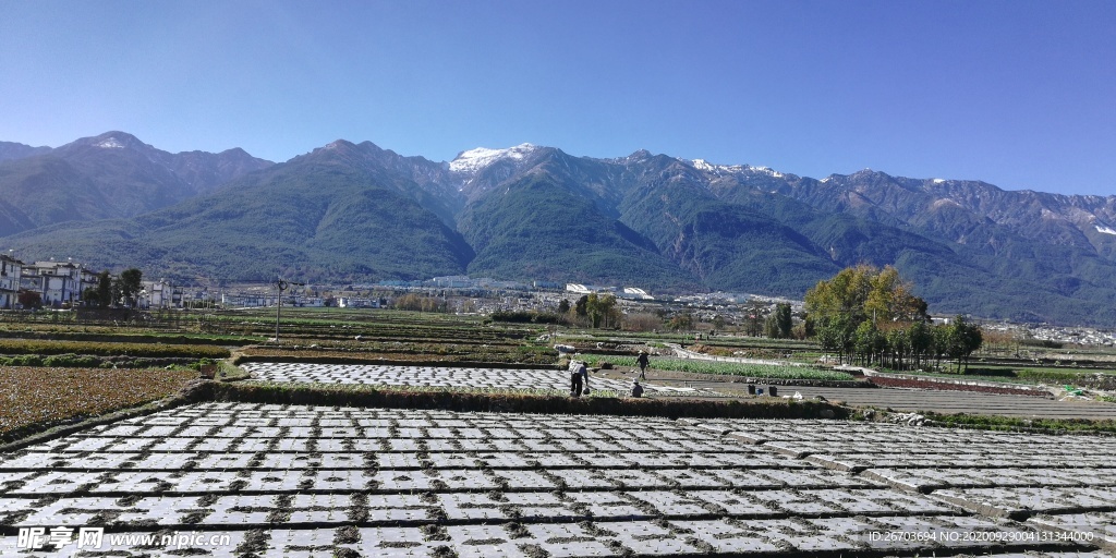 高山田园风景