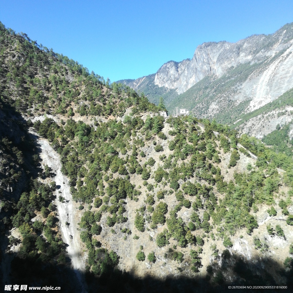 绿树青山风景