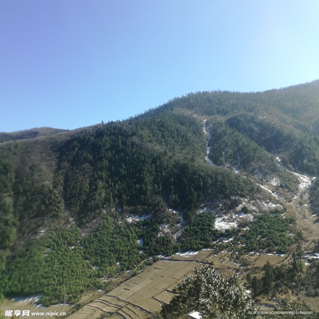 青山田野风景