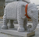 大象