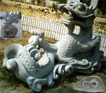 龙