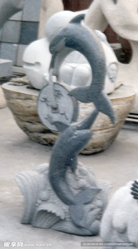 海豚