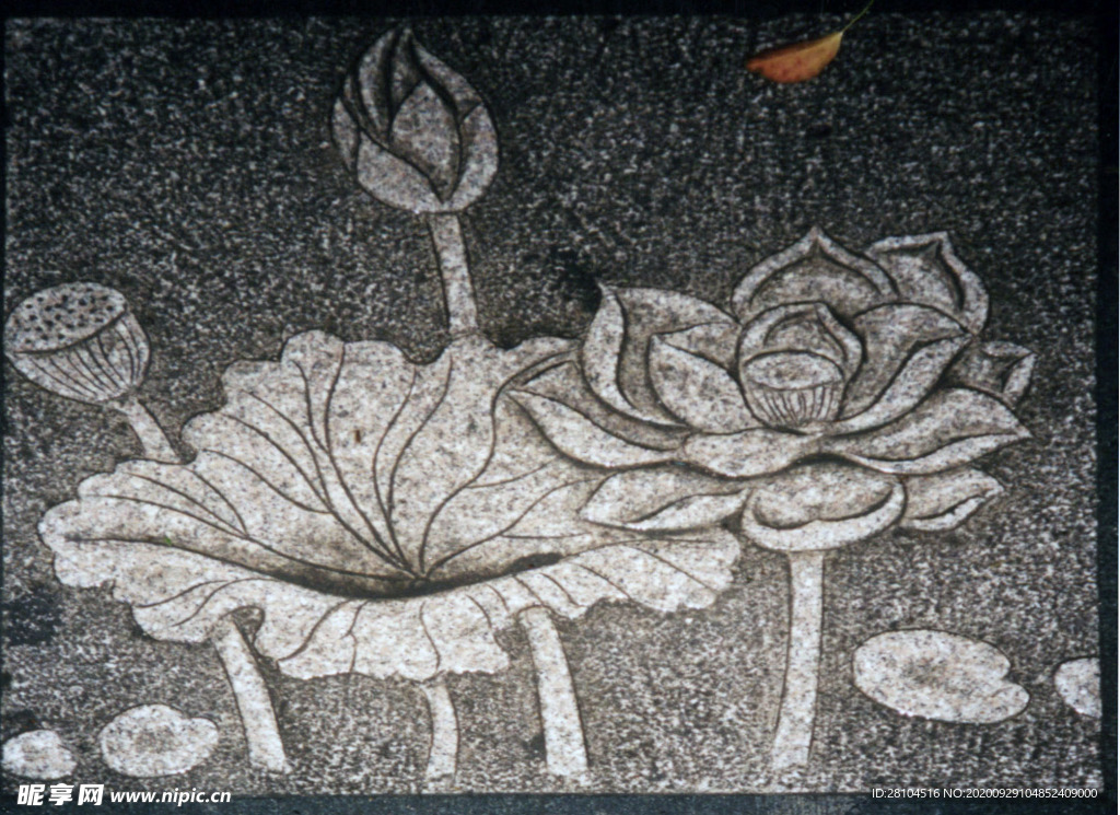 莲花