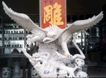 老鹰