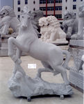 马