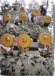 龙柱