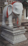 大象