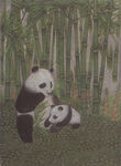 影雕