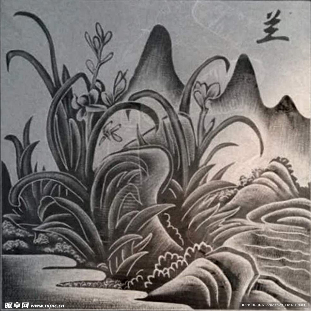 兰花