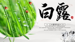 白露