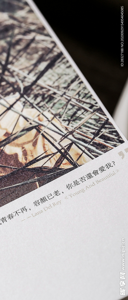 手机壁纸