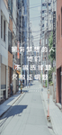手机壁纸