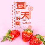 手机壁纸