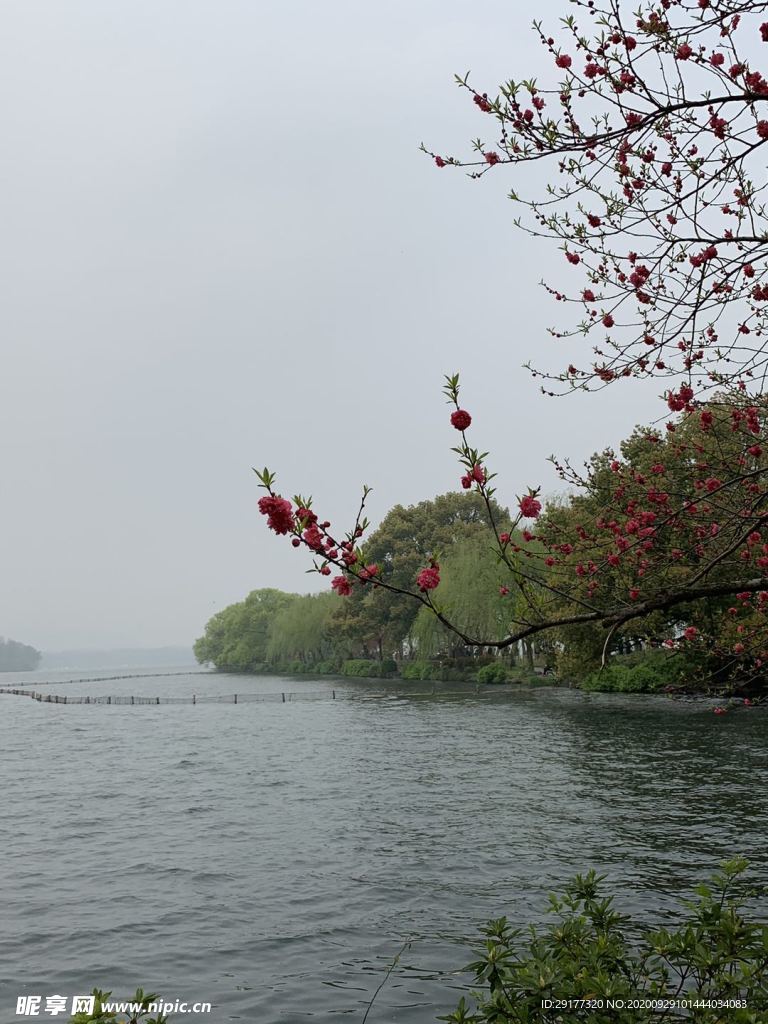 西湖风景