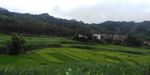 风景乡村风景