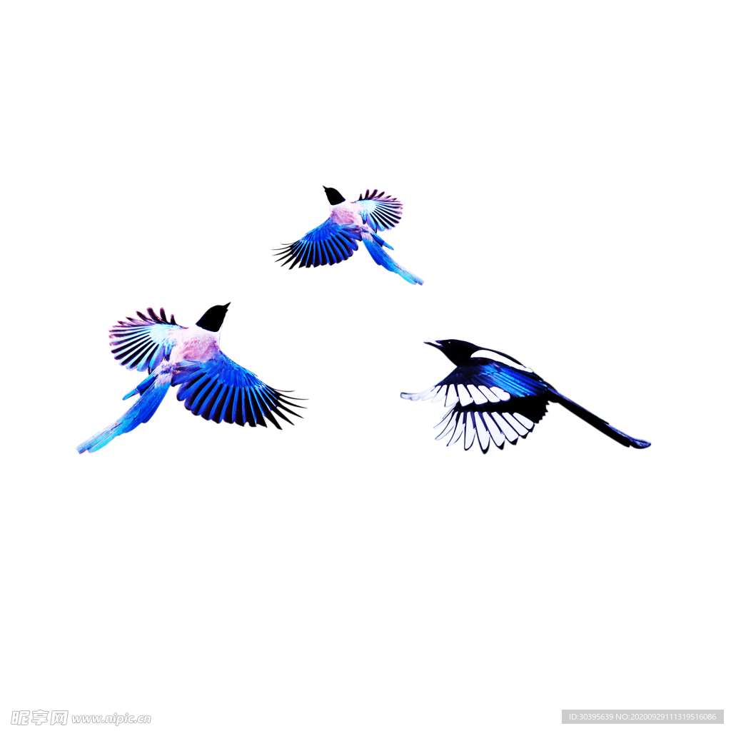 浪漫素材