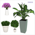 3D植物盆栽