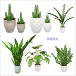 3D植物盆栽