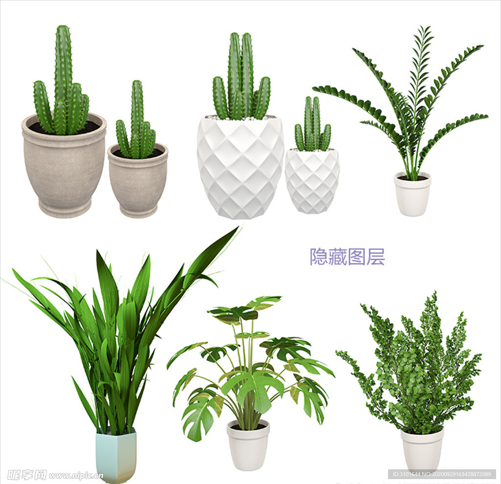 3D植物盆栽
