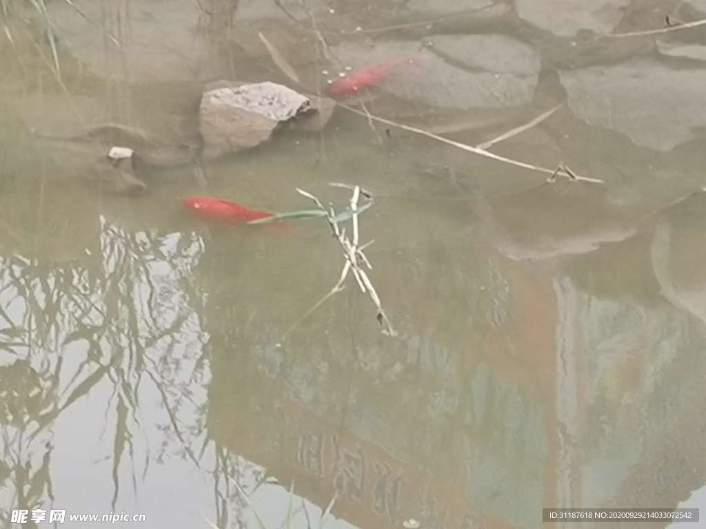 河道