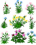 小花图案