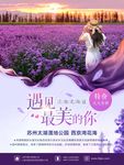 旅游海报