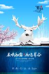 房地产