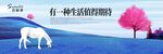 房地产