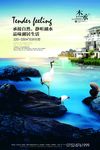 房地产广告