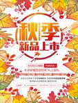 秋季上新