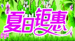 夏日特惠