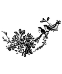 矢量花鸟图