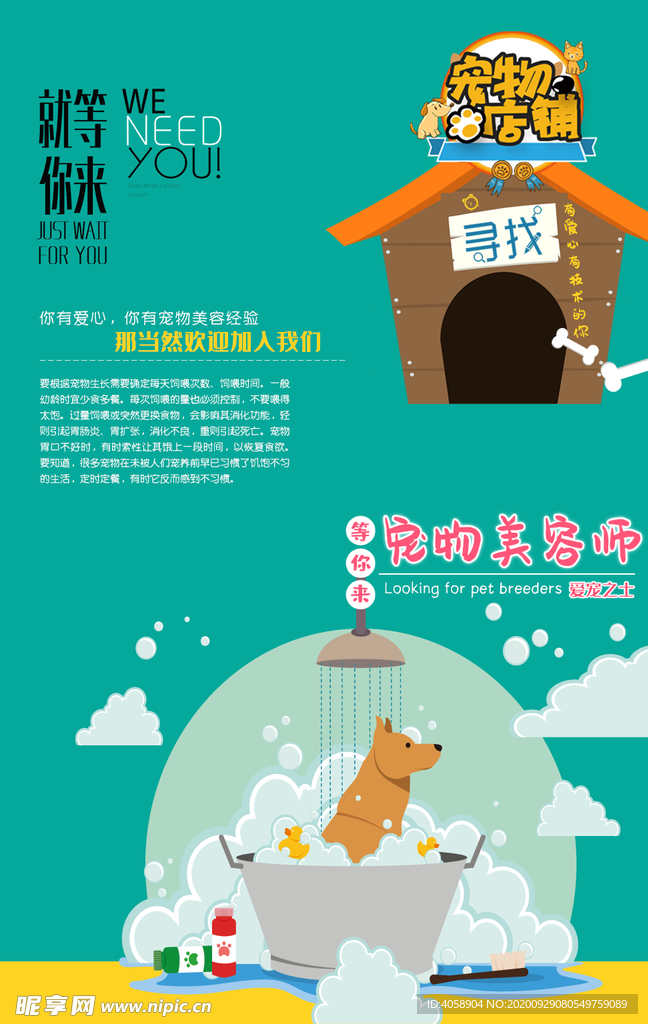宠物美容师