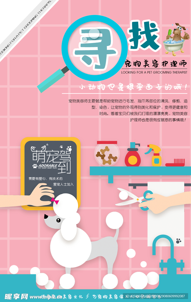 招聘宠物美容师