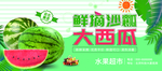 现摘大西瓜