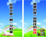学习展板