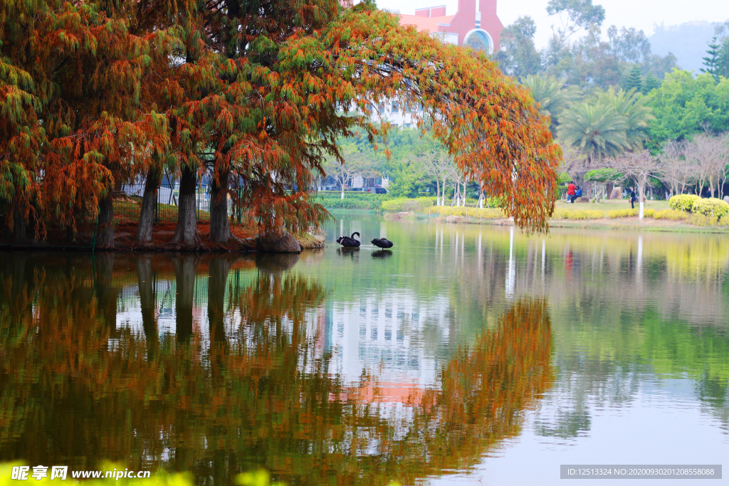 厦门大学