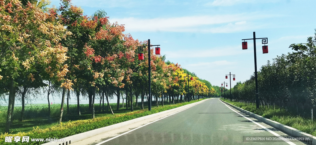 美丽公路