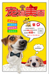 宠物美容海报