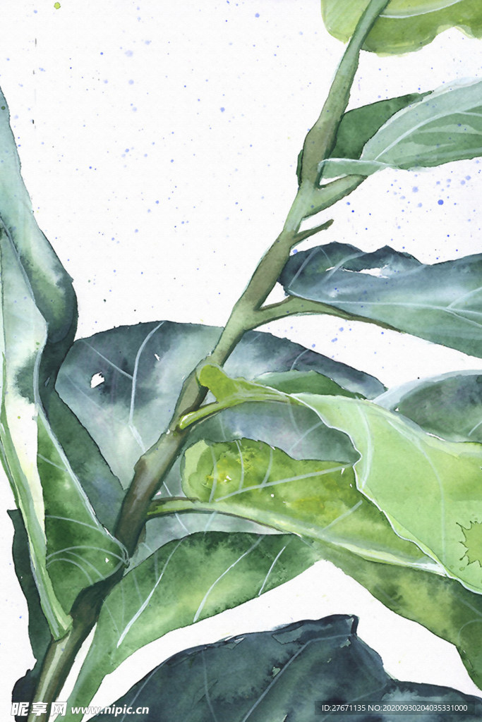 高清大叶绿植装饰画