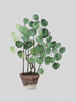 高清植物绿植装饰画
