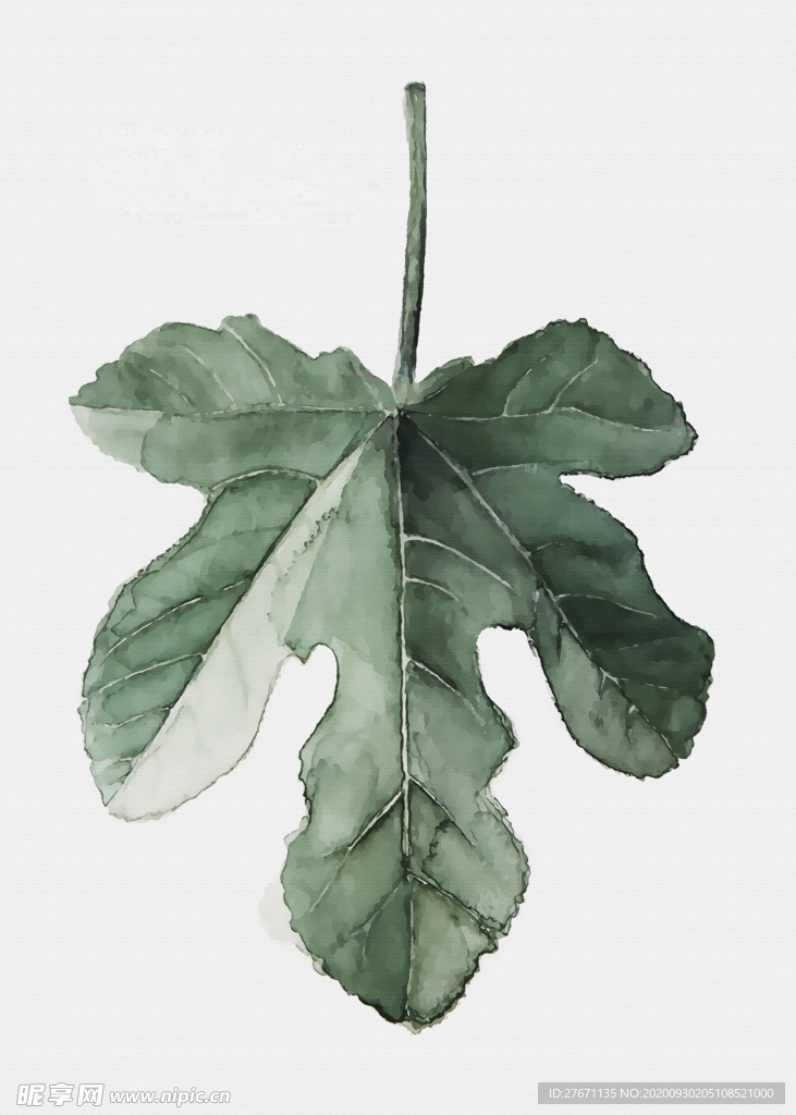 高清绿植无框画
