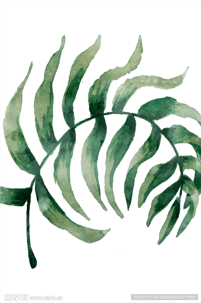 高清绿叶无框画