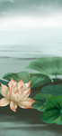 手机壁纸